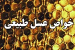 خواص عسل طبیعی