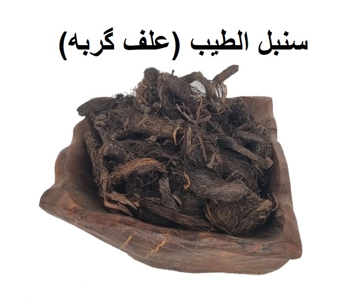 سنبل الطیب یا علف گربه (کد محصول 115968222)