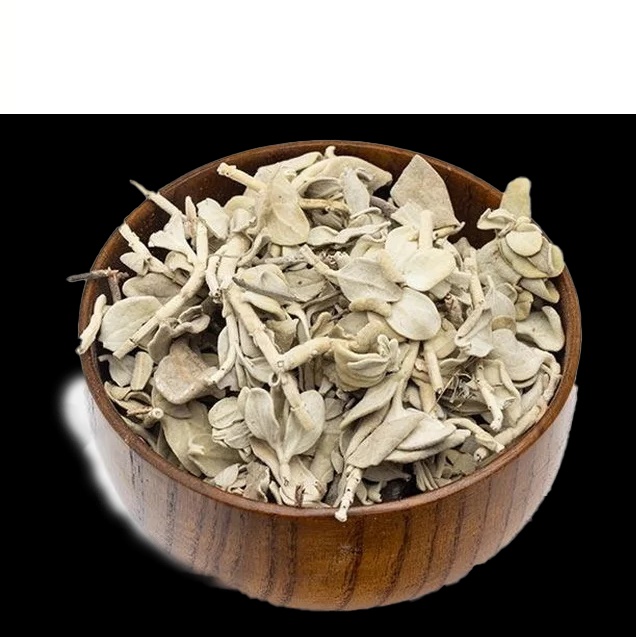 گیاه پولکی (کد محصول 115980108)