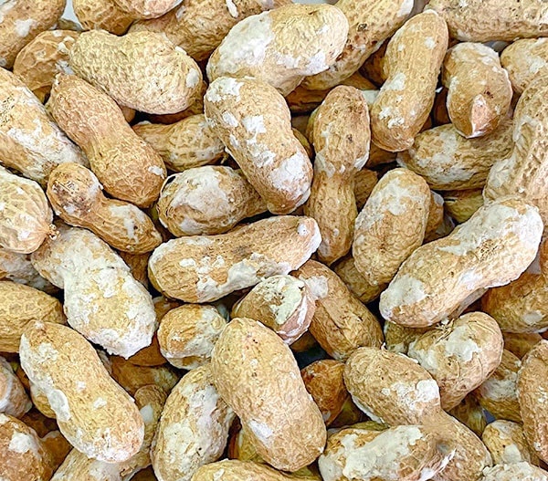 بادام زمینی غلاف دار آستانه (کد محصول 116675609)