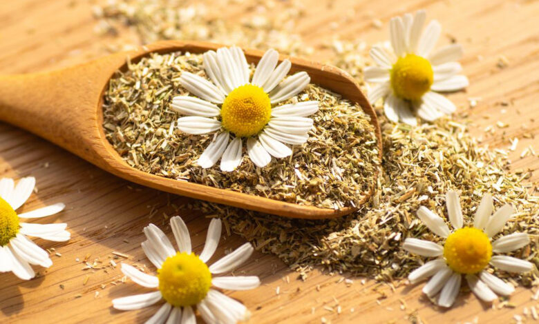 گل بابونه (کد محصول 115981357)
