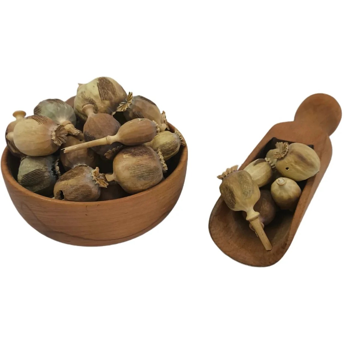 گوی خشخاش (کد محصول 115640725)
